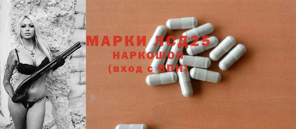 спиды Горняк