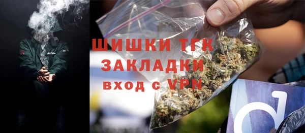 молекула духа Горнозаводск
