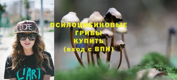 молекула духа Горнозаводск
