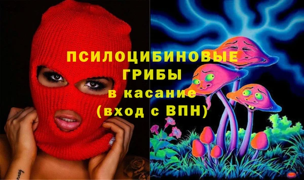 спиды Горняк