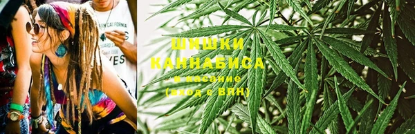 молекула духа Горнозаводск
