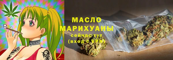 молекула духа Горнозаводск