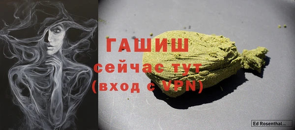 спиды Горняк