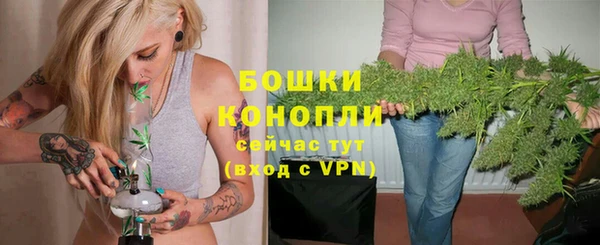 молекула духа Горнозаводск