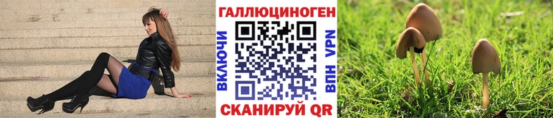 Псилоцибиновые грибы мицелий  наркотики  Петухово 